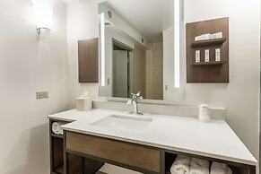 Hilton Garden Inn Chicago/Tinley Park