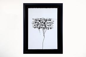 Hotel Adriano Rooftop