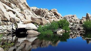 Starlight Inn & Suites Motel 29 Palms Joshua Tree National Park