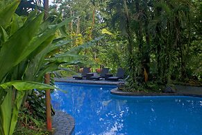 Lost Iguana Resort and Spa