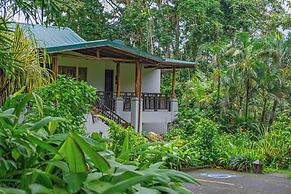 Lost Iguana Resort and Spa