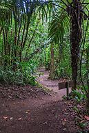 Lost Iguana Resort and Spa