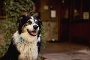 El Portal Sedona Hotel