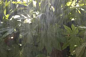 Casa Camper Barcelona