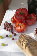 Casa Romana Hotel Boutique