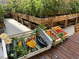 Trilussa Palace Wellness & Spa