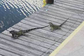 Coconut Cay Resort & Marina