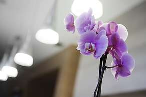 Elba Almería Business & Convention Hotel