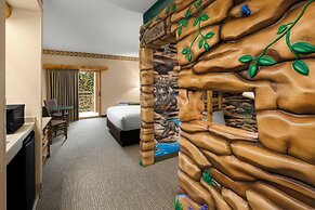 Great Wolf Lodge Wisconsin Dells