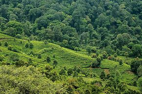 Novus Giri Resort & Spa