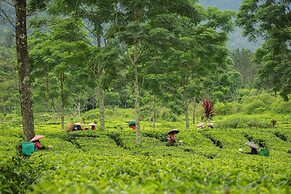 Novus Giri Resort & Spa