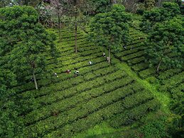 Novus Giri Resort & Spa