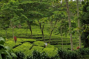 Novus Giri Resort & Spa