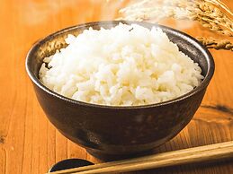 Comfort Hotel Central International Airport