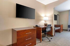 Comfort Inn & Suites Tavares North
