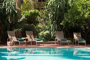 Les Jardins De La Medina