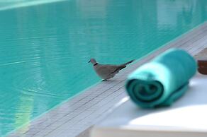 Les Jardins De La Medina