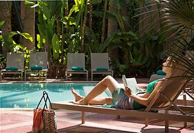 Les Jardins De La Medina