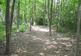 TownePlace Suites Bowie Town Center