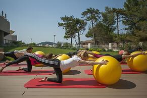 Vitality Hotel Punta