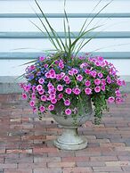 The Silver Fountain Inn