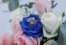 Royal & Imperial Belvedere Resort - All inclusive