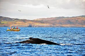 Casey's of Baltimore Collection