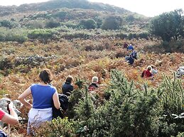 Casey's of Baltimore Collection