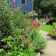 Olallieberry Inn B&B