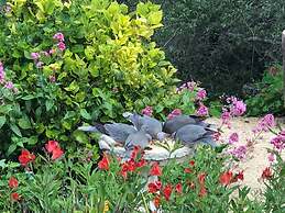 Olallieberry Inn B&B