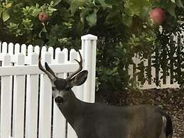 Olallieberry Inn B&B