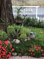 Olallieberry Inn B&B