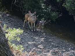 Olallieberry Inn B&B