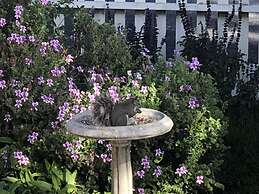 Olallieberry Inn B&B