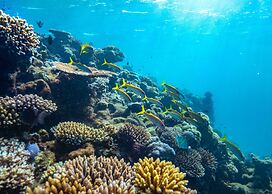 Royal Davui Island Resort - Adults Only