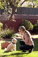 The Wilde Resort and Spa