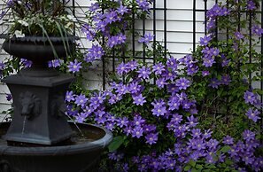 Castle in the Country