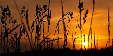 Castle in the Country