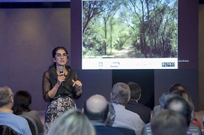 Amérian Hotel Casino Gala