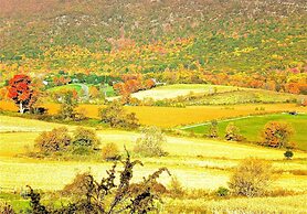 Whistler's Inn Bed & Breakfast