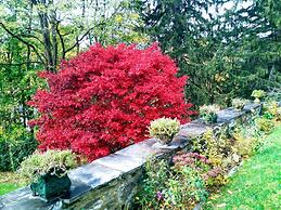 Whistler's Inn Bed & Breakfast