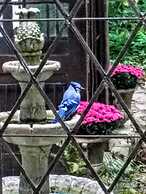 Whistler's Inn Bed & Breakfast