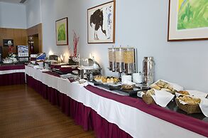 VIP Executive Santa Iria Hotel