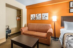 Sleep Inn and Suites - Ocala / Belleview