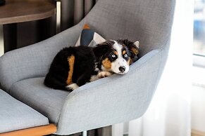 Courtyard by Marriott Berlin City Center