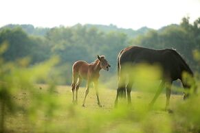 Careys Manor & Senspa