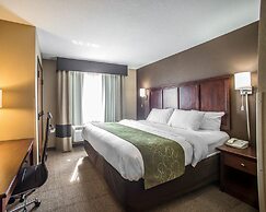 Comfort Suites Columbia - University Area
