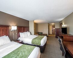 Comfort Suites Columbia - University Area