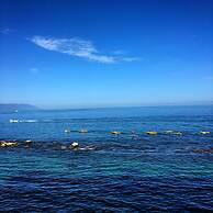 Costa Sur Resort & Spa