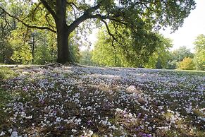 Domaine de la Tortinière